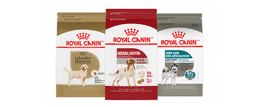 Royalcanin: A Deep Dive into Premium Pet Nutrition for Your Beloved Companions