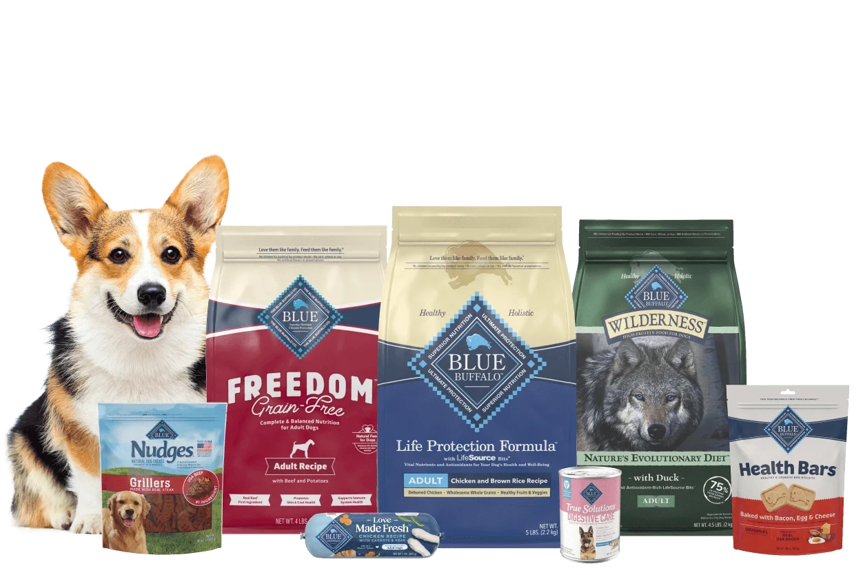 Blue Buffalo: A Trusted Name in Premium Pet Food Choices