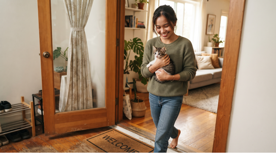 What Do You Need Before Bringing a Cat Home? A Complete Guide for First-Time Owners